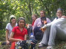 Picture